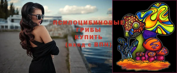 гашик Алексеевка