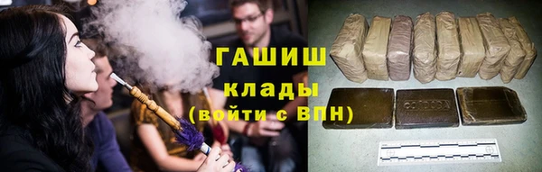 хмурый Алексин