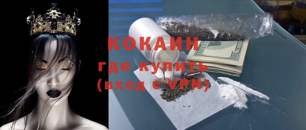 хмурый Алексин