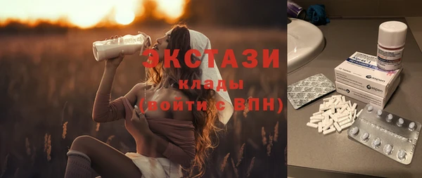 хмурый Алексин