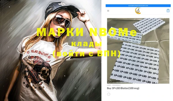 хмурый Алексин