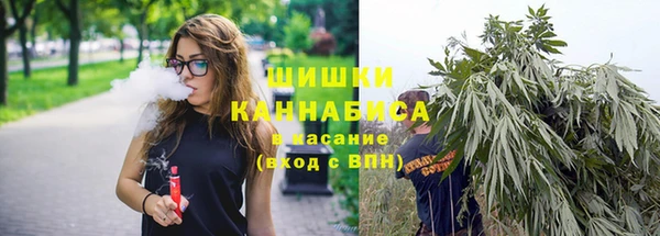 СК Алзамай