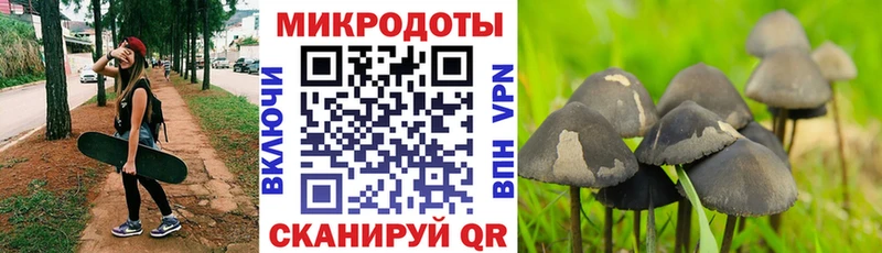 дарнет шоп  Тверь  Галлюциногенные грибы прущие грибы 