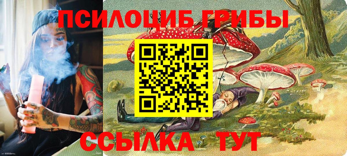 Галлюциногенные грибы Magic Shrooms  Вход с VPN  Галлюциногенные грибы Psilocybine cubensis  Тверь 